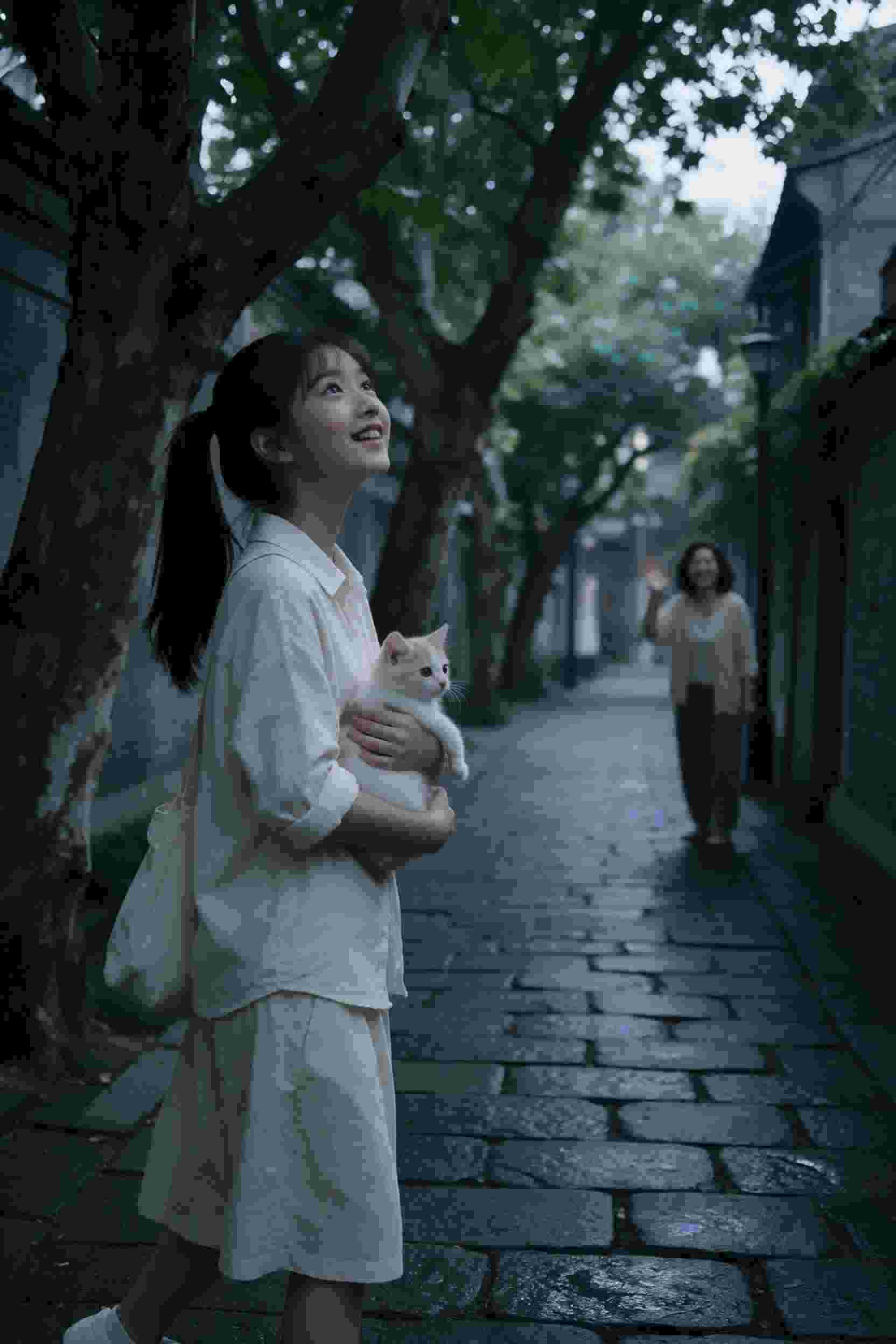 图书馆的女友